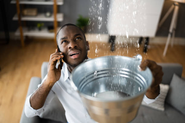 Best Ceiling water damage repair  in Avondale, PA