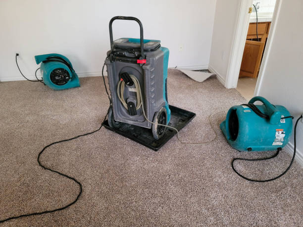 Best Water damage cleanup near me  in Avondale, PA