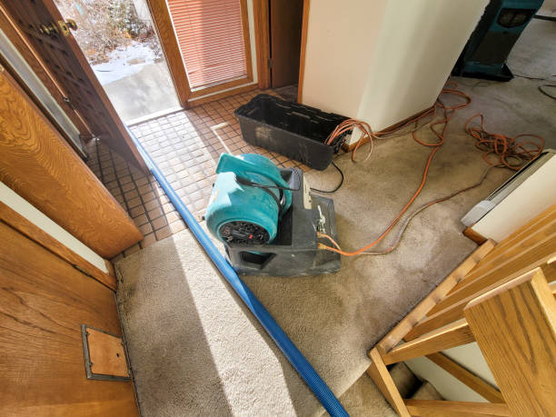 Best Water damage contractors near me  in Avondale, PA