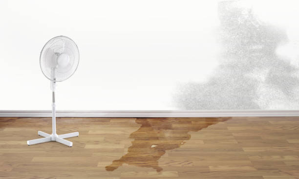 Best 24/7 water damage repair  in Avondale, PA