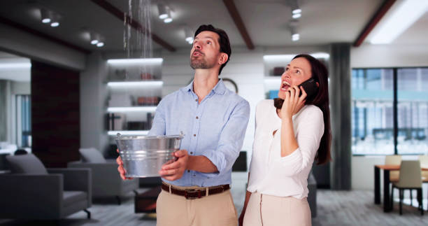 Best Professional water damage repair  in Avondale, PA