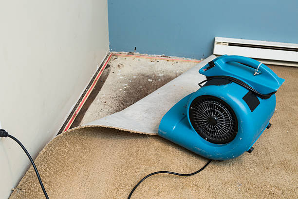 Best Water damage restoration near me  in Avondale, PA